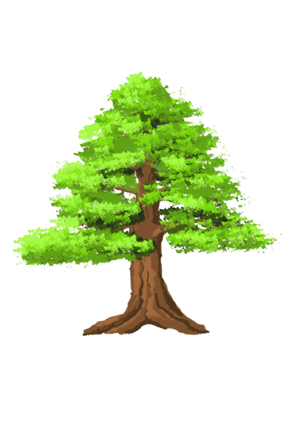 Image d'un arbre de style droit formel ( Chokkan )