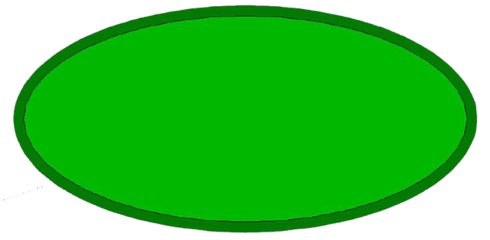 Image d'un ovale allongé représentant les formes de pots pour bonsaï de forme allongé pour certaines configurations