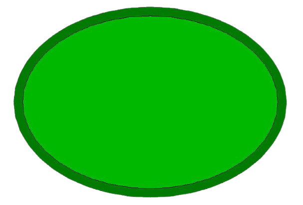 Image d'un ovale représentant les formes de pots pour bonsaï de forme ovale