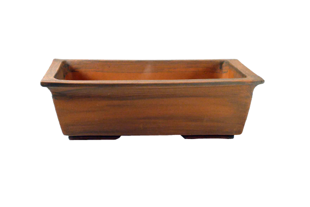 Image d'un pot rectangulaire représentant un style « shin »