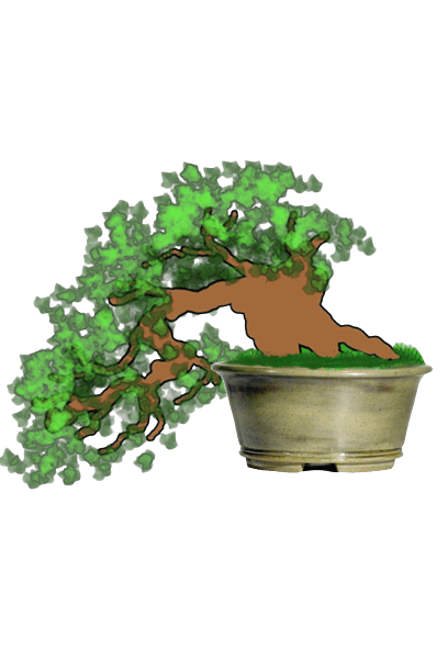 Dessin bonsaï - Cette poterie pour bonsaï de style artisanal arbore une glaçure verte antique semi-mateDrawing bonsai - This handcrafted bonsai pot features a semi-matt antique green glaze.