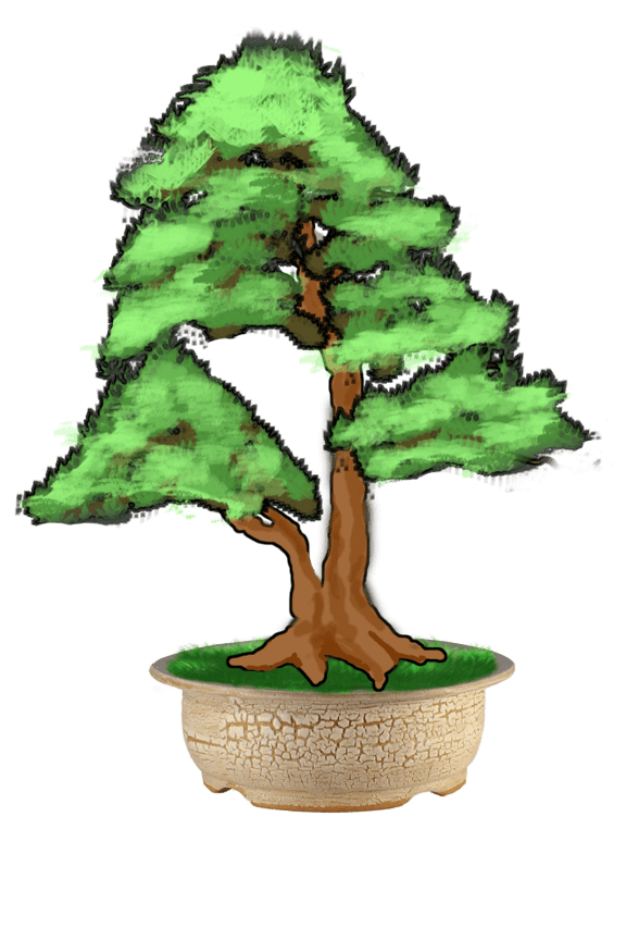 Un pot original qui mettra en valeur votre bonsaï 