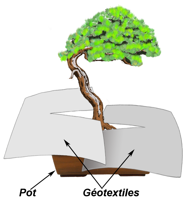 Image représentant la façon de protéger un bonsaï ainsi qu'un pot avec deux toiles géotextiles