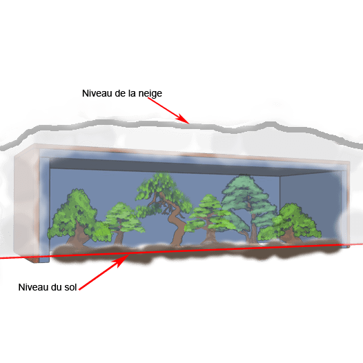 Image représentant comment protégé des bonsaïs sous une structure de bois pour l'hiver