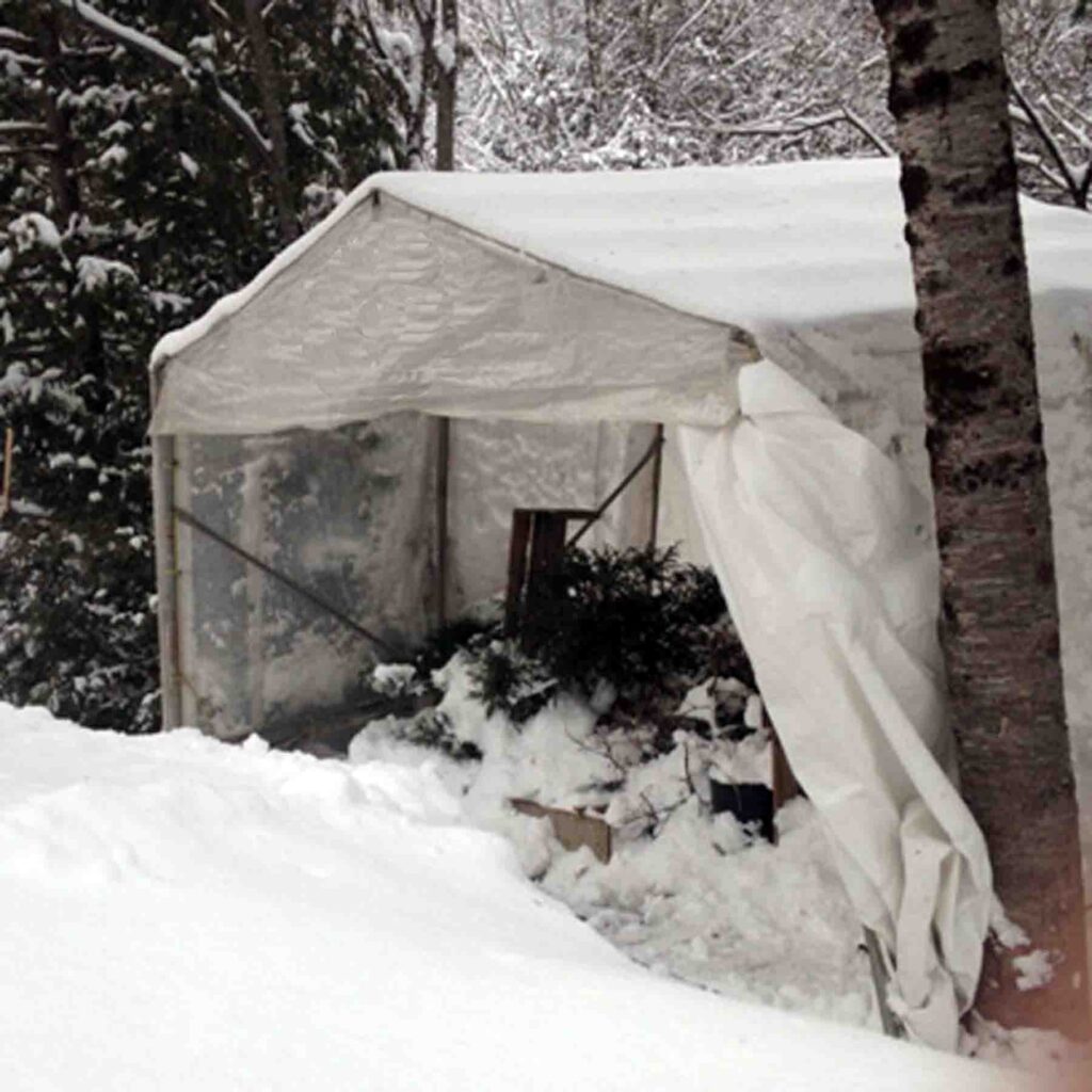 Photo représentant l'extérieur d'un abri d'auto afin de démontrer qu'il faut dégager la toiture contre le poids de la neige