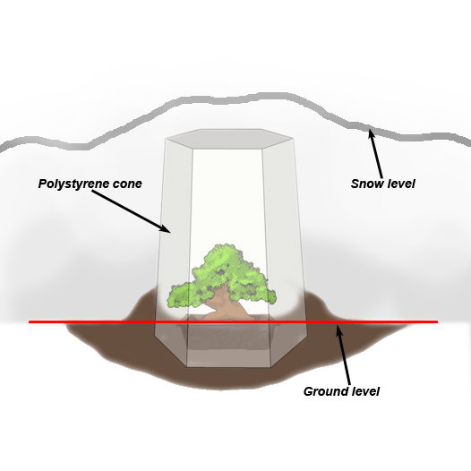 Image représentant la façon d'enterrer un bonsaï sous un cône en polystyrène pour l'hiver