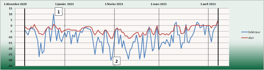 Graphique représentant les résultats sur la température à l'intérieur d'un abri d'auto en utilisant la neige comme protection pour les bonsaïs