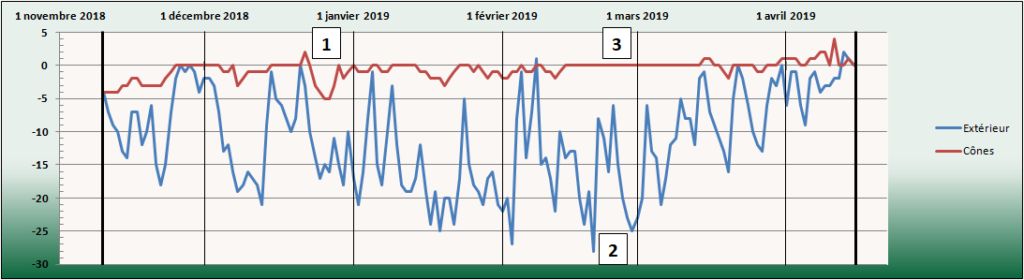 Graphique représentant les résultats sur la température à l'intérieur d'un cône en polystyrène en utilisant la neige pour des bonsaïs