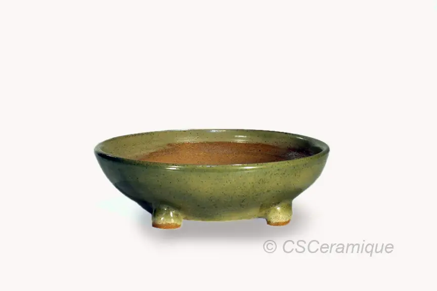 Pot rond pour bonsaï de couleur vert olive 2312319
