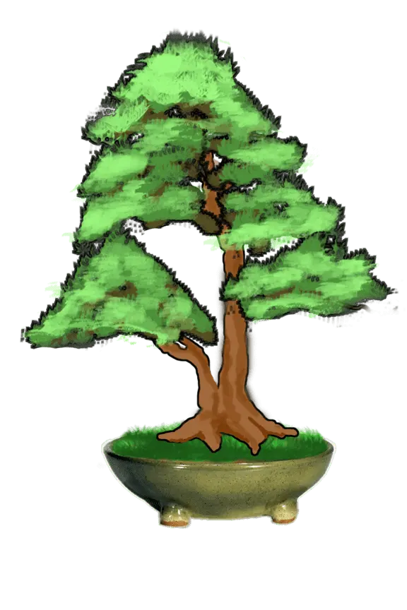 Image d'un bonsaï de style shohin pour feuillus avec le pot 2312319