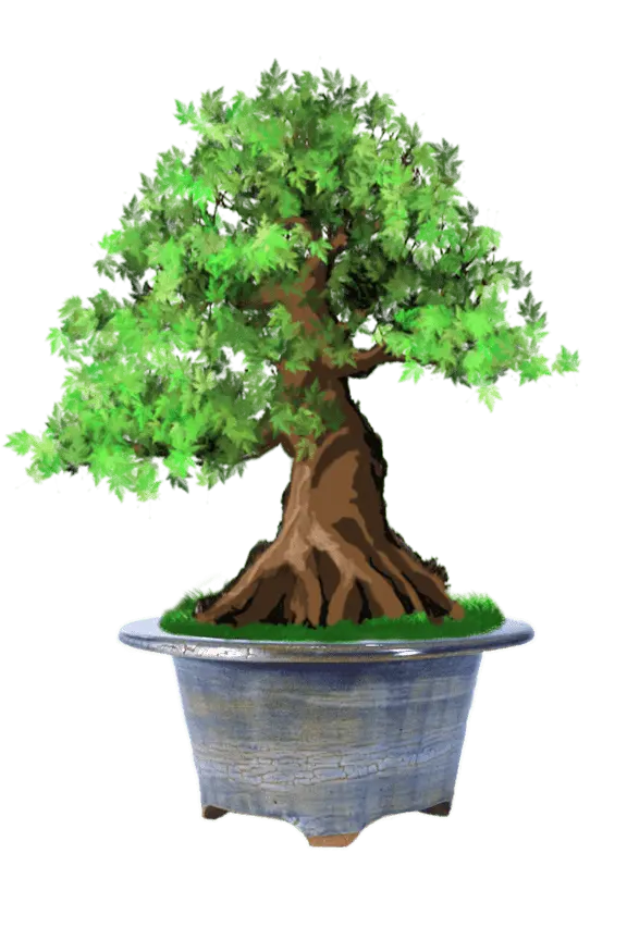 Pot bonsaï 2402325. Ce pot de couleur 
 bleutée, rehaussée de nuances ocre peut embellir vos bonsaïs aussi bien que d'autres végétaux