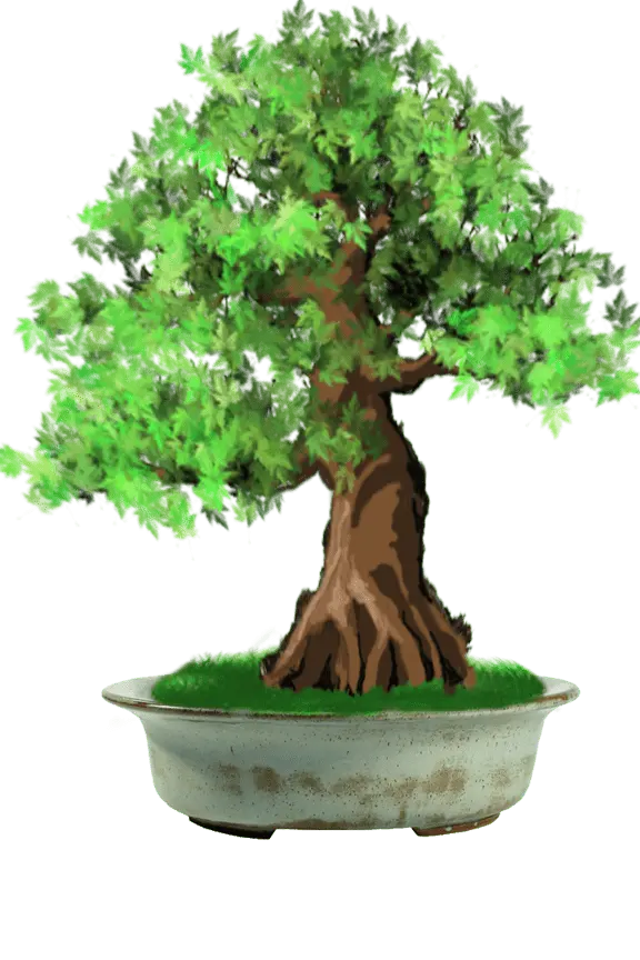 Admirez cette création artisanale pour votre bonsaï. Pot ovale de couleur turquoise idéal pour un feuillu
