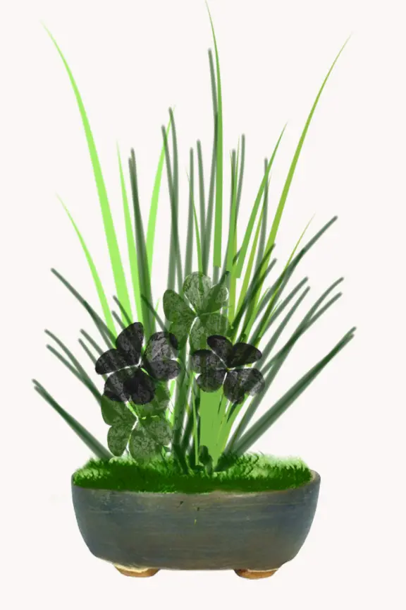 Poterie pour plante compagne en céramique vert kaki, conçu pour accompagner un bonsaï ou accueillir une plante complémentaire.