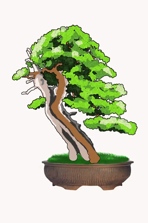 Pot pour bonsaï en grès de couleur terracotta avec texture naturelle, pieds surélevés et drainage optimal pour arbres rouges.