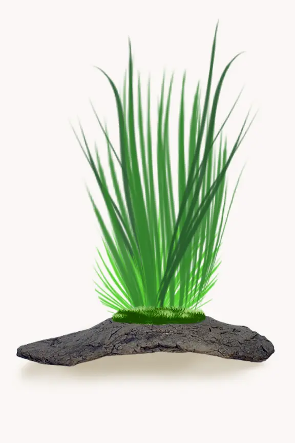 Poterie pour plantes compagnes grise à la texture rocheuse, idéale pour créer des arrangements floraux et de feuillages uniques.