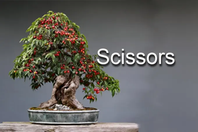 Présentation détaillée des outils essentiels pour débutant . Cette section représente les ciseaux.