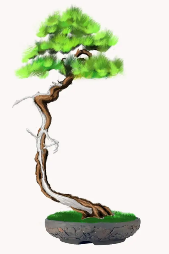Gros plan sur un pot pour arbre de style Lettré à la texture d'écorce, conçu pour un genévrier de style Bunjin.