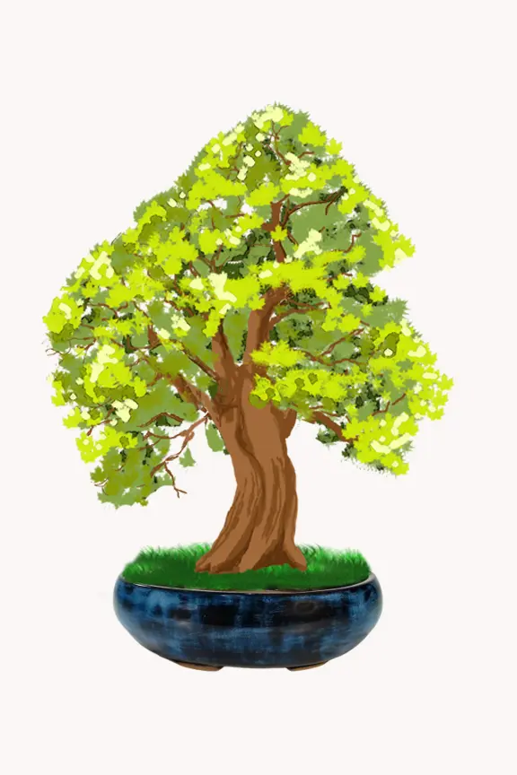 Poterie artisanale unique aux nuances harmonieuses, conçue pour valoriser un arbre miniature et apporter élégance à votre collection raffinée.