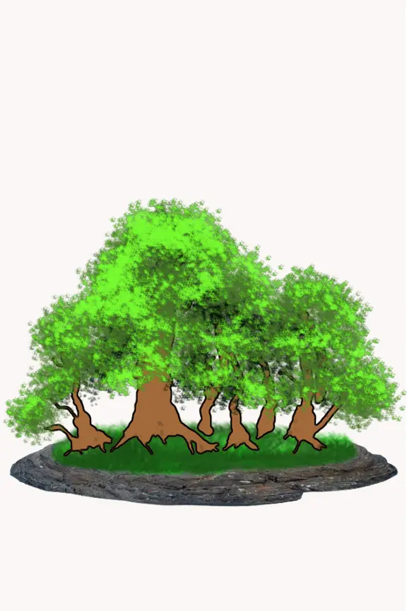 Poterie artisanale unique aux tons terracotta, texture rustique et finitions soignées, parfaite pour compositions végétales dans votre collection.