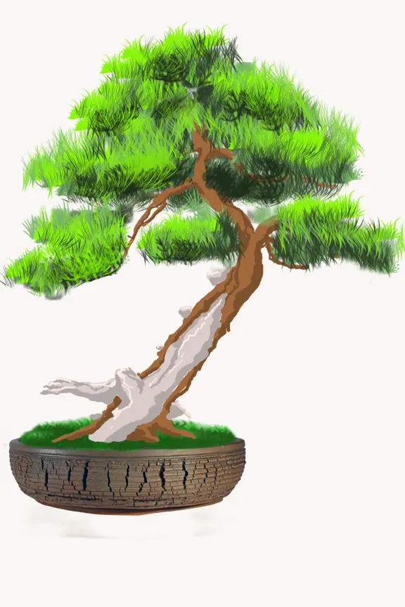 Création artisanale originale en poterie, faite à la main, idéale pour rehausser la beauté naturelle de votre collection de bonsaïs.