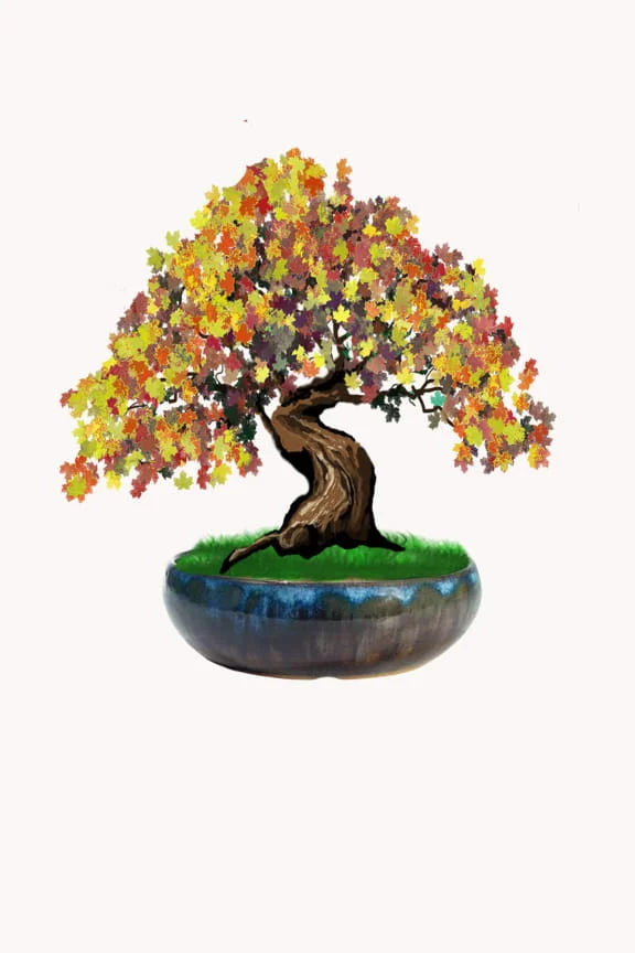Poterie pour un bonsaï de style Moyogi bleu vert beige avec paroi convexe drainage efficace et ancrage sécurisé en collection.