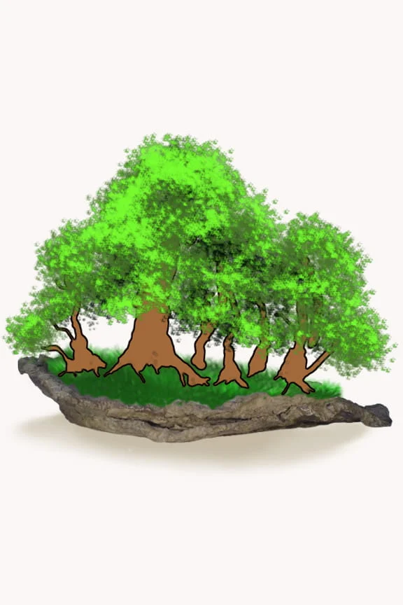 Poterie de style forestière résistante au gel accueillant petite forêt sur plaque minérale texturée gris nuancé en collection extérieure.