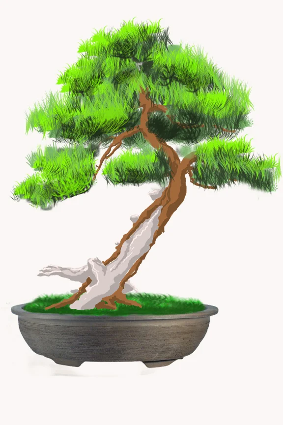 Poterie pour un arbre remarquable brun naturel avec parois texturées, pieds stables et drainage optimisé pour arbre d’exception en collection.