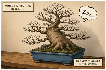 Arbre en dormance
