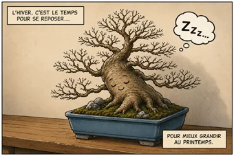 Arbre en dormance