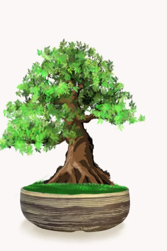 Poterie pour conifère brun foncé avec motif texturé, pattes intégrées et trous de drainage pour mettre en valeur un arbre.